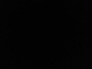 Meet your Posher, Ben